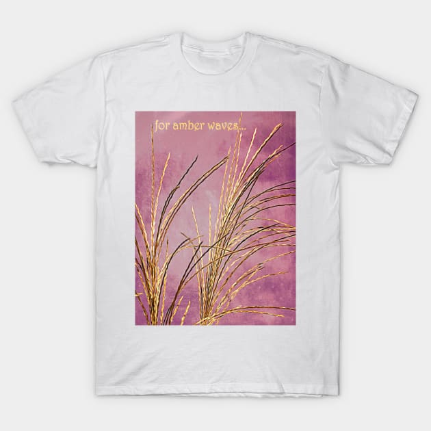 For Amber Waves T-Shirt by MAMMAJAMMA